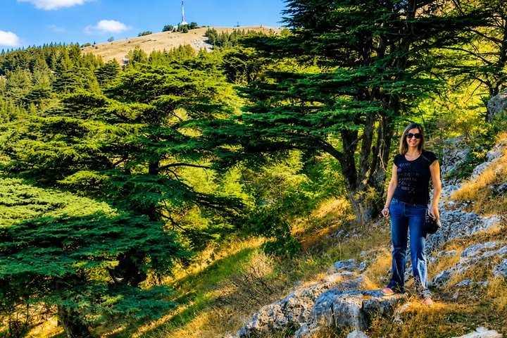 Private Cedar Hike & Bekaa Wine Tour | Kefraya & Ksara - Photo 1 of 12