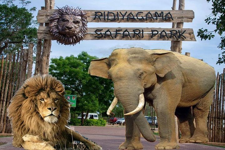 Ridiyagama Safari Park elephants leopards sloth bears waterbirds dry zone tank inland from Weligama south coast Sri Lanka