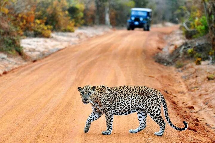 Wilpattu National Park