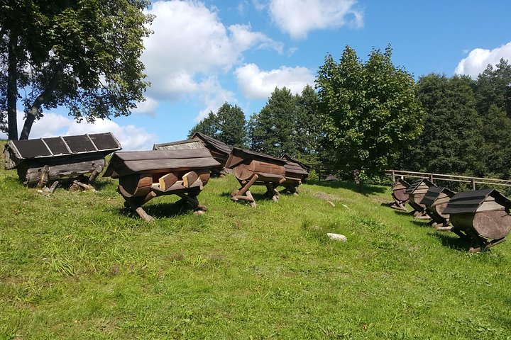 Full-Day Tour to Aukstaitija National Park from Vilnius - Photo 1 of 16