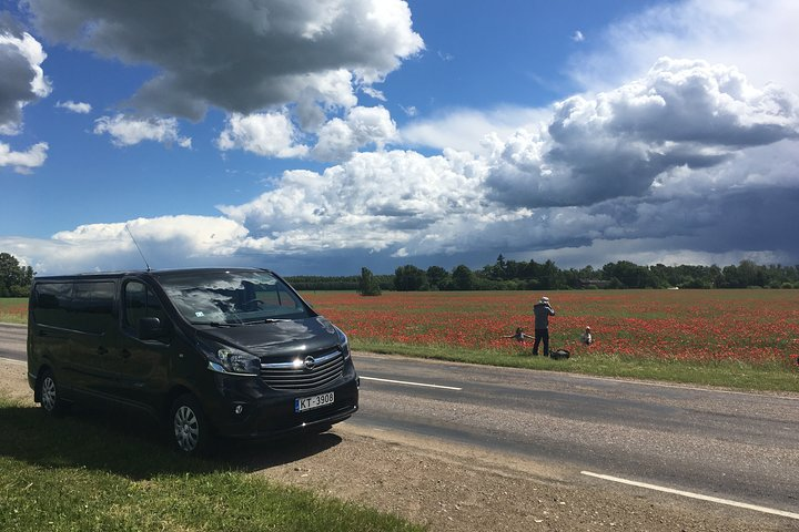 Flower field on the way to Riga
