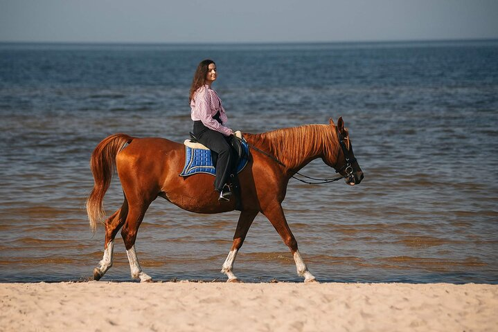 Private Horse Riding on the Beach in Riga - Photo 1 of 18