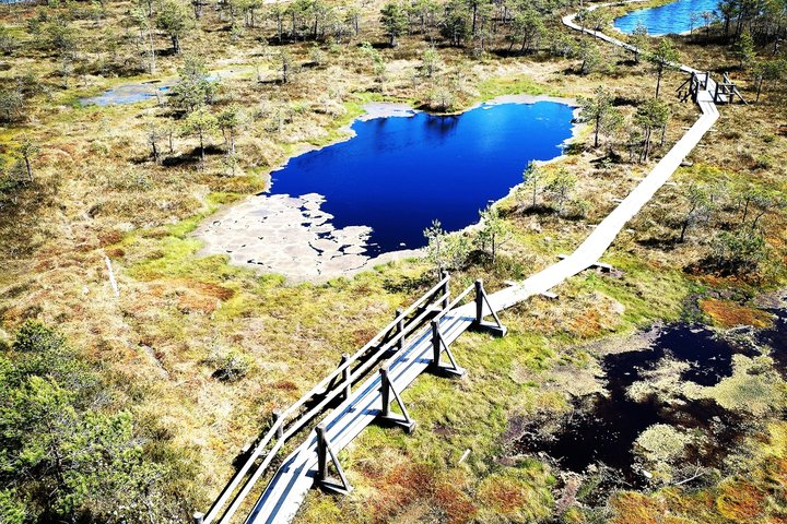 Kemeri National Park Bog Walking trail with Jurmala private tour - Photo 1 of 15