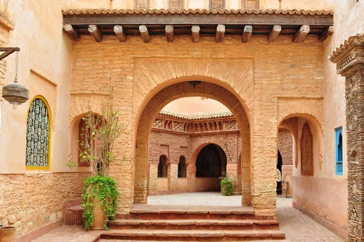 Goats in Trees & Agadir Medina Coco Polizzi ticket and Souk Visit - Photo 1 of 13