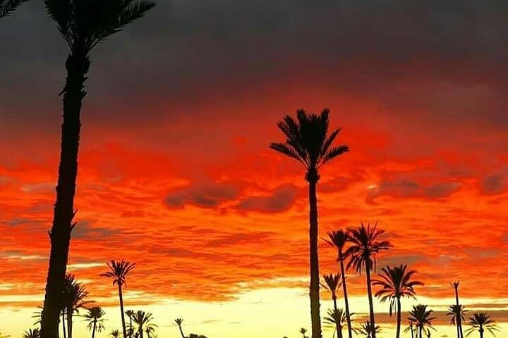 1 Day Excursion from Marrakech to Imlil - Photo 1 of 4