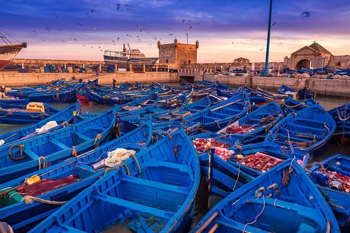 1- Day Trip To The Ex-Mogador Essaouira City - Photo 1 of 18
