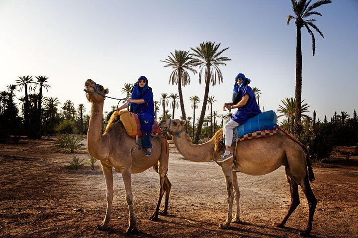 1 Hour Camel Ride in Palm Grove of Marrakech - Photo 1 of 4