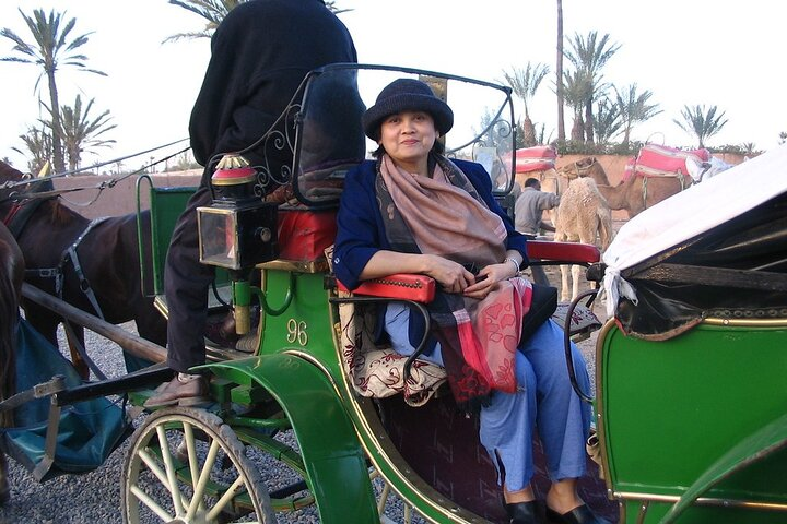 1-Hour Horse Carriage Ride: "Discover Marrakech in Style