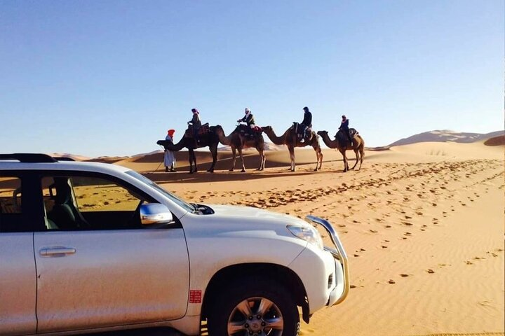 Merzougaonline Camel Trek Bivouac