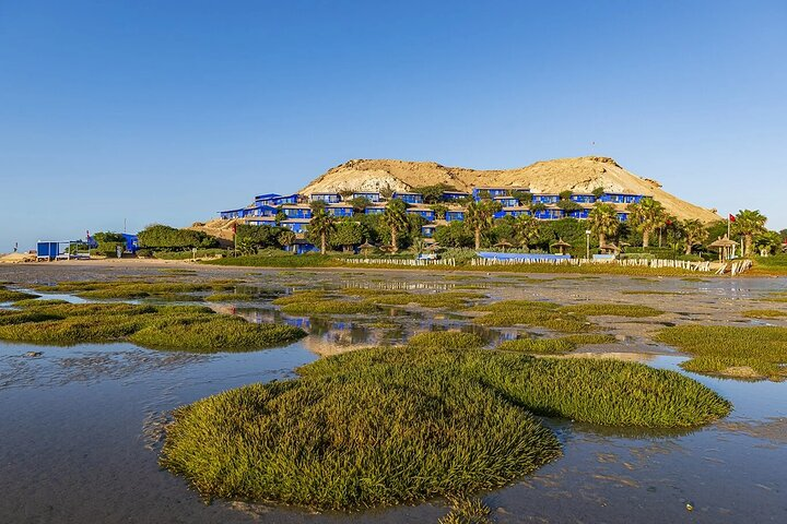 11-Day Odyssey Departing from Marrakech to Dakhla - Photo 1 of 20