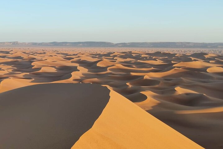 12-Day Private Moroccan Cities and Deserts Tour - Photo 1 of 12