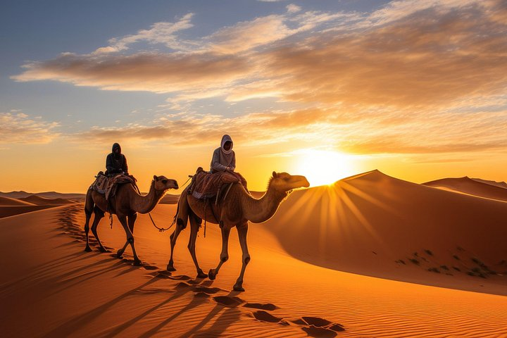 Camel caravan in Sahara desert at sunset time