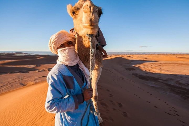 camel ride in erg chigaga