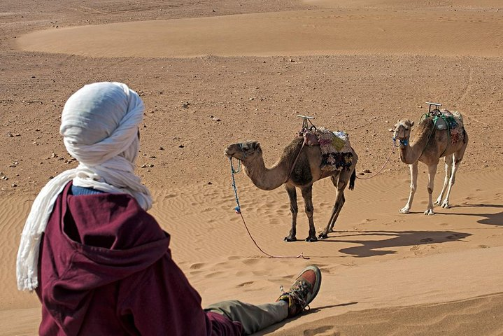 2-Day Zagora Desert Trip from Marrakech - Photo 1 of 12