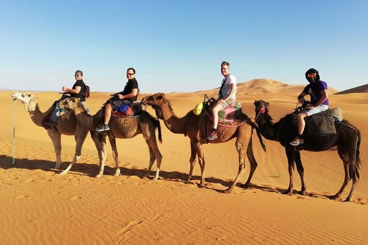 #Camelsafari