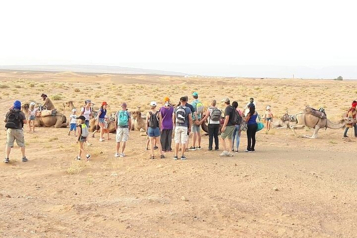 2 Days Desert Tour From Marrakech To Zagora - Photo 1 of 15