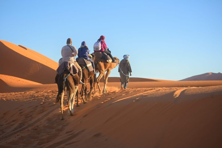 camel ride on the erg chebbi dunes 