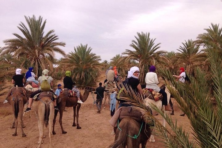 2 Days Tour: A Taste Of Moroccan Desert - Photo 1 of 6