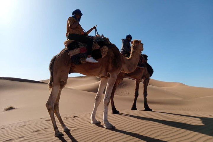 camel ride