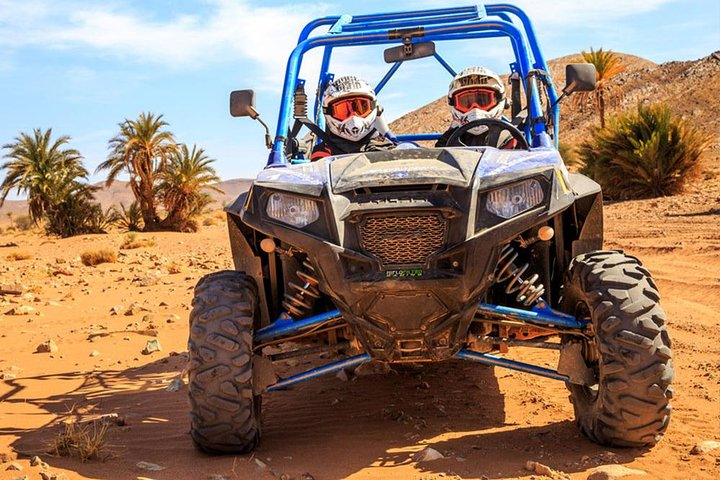 2 hour palmeraie buggy ride - Photo 1 of 8