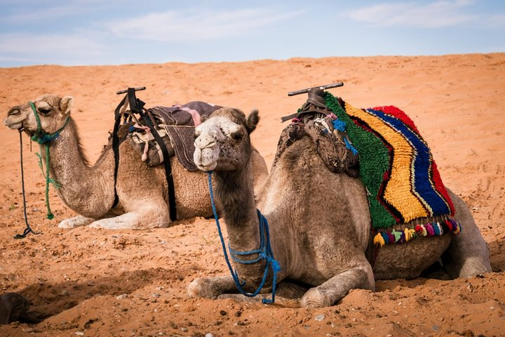 3 Day Tour from Marrakech to Merzouga Desert 