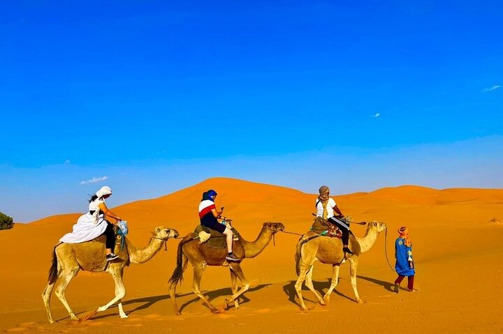 Camel Trekking in Erg Chebbi desert 