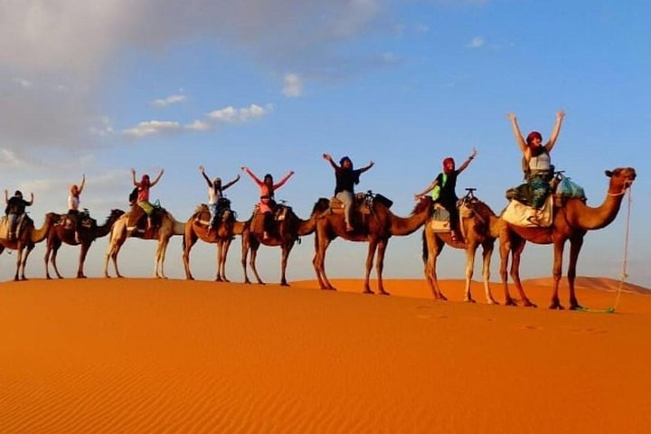 Trekking Camel