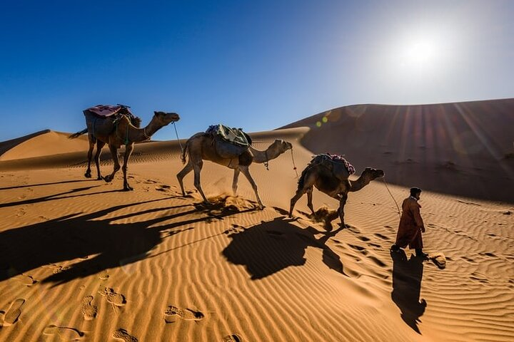 Camel caravane