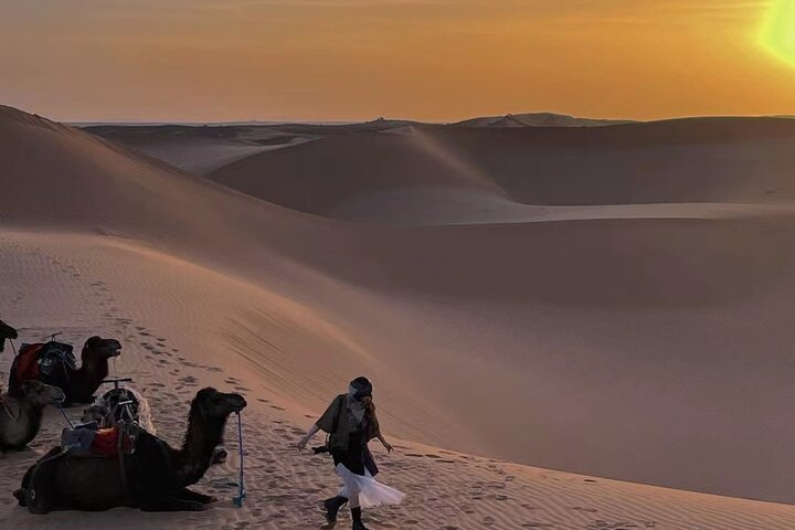 Sahara desert camel ride & sunset 