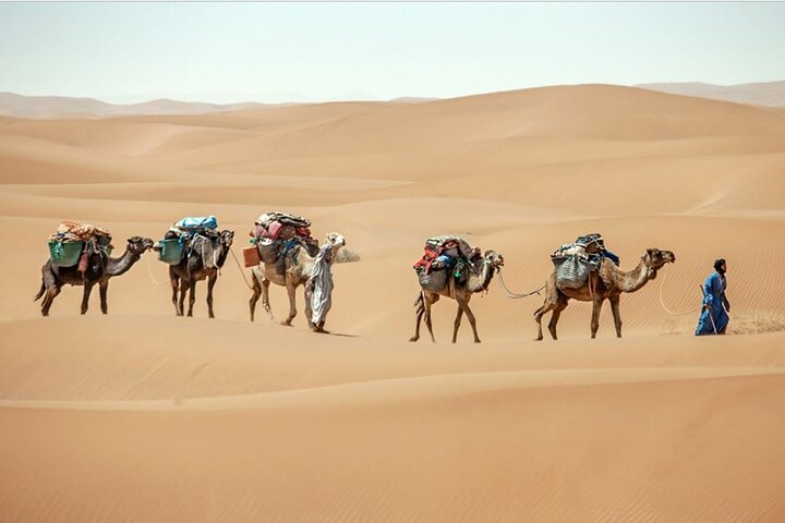 3-Days Private Sahara Desert Trek - Photo 1 of 16
