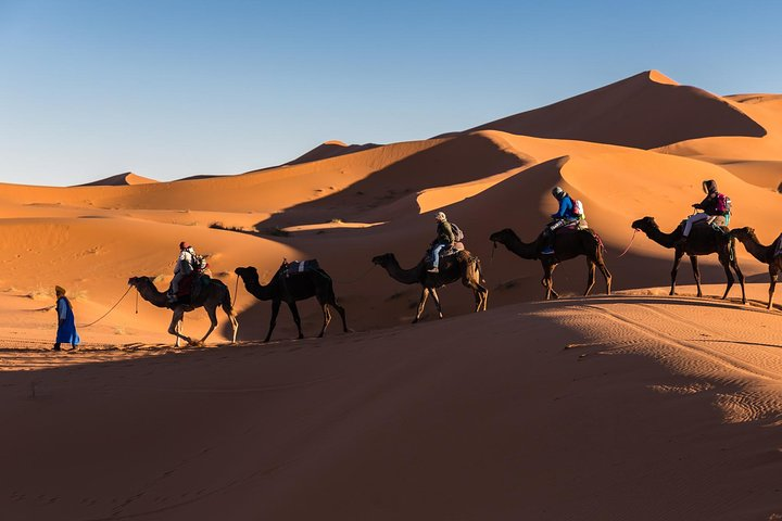 Camel ride in Merzouga dunes