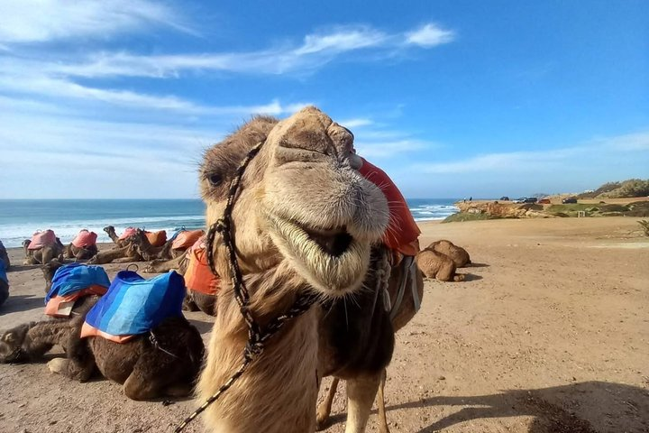 Tangier Private Tour Cap Spartel ,hercules caves , camel & kasbah - Photo 1 of 25