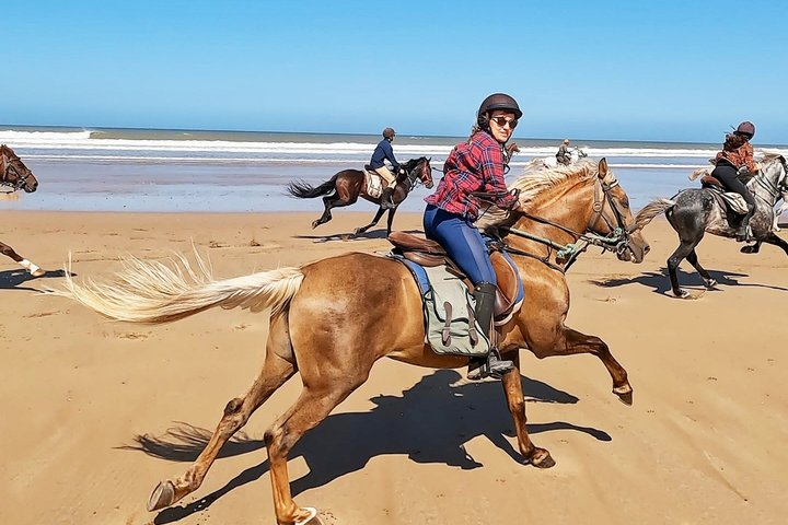 Essaouira 3-Hour Private Beach, Dunes & Sunset Horse Riding Tour - Photo 1 of 12