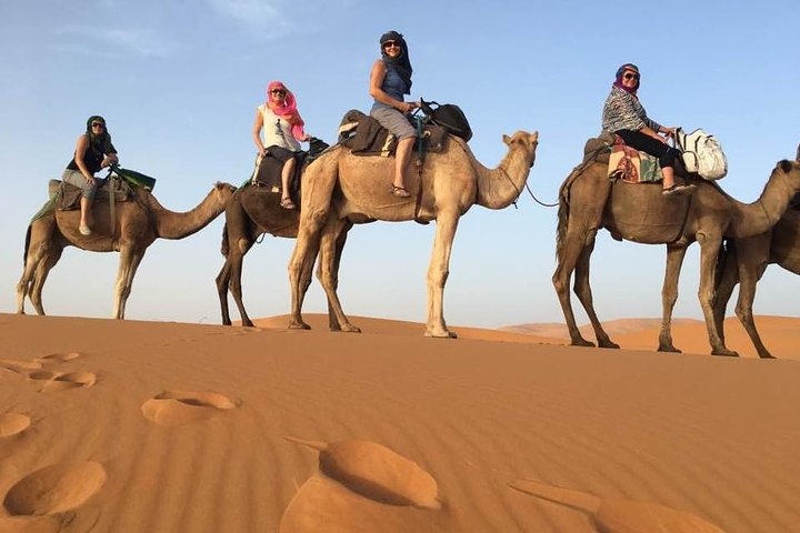 camel ride in the desert