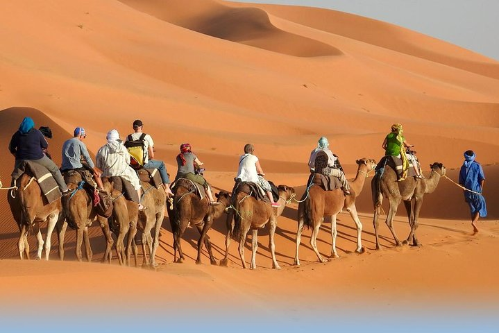 Camel Ride to desert camp