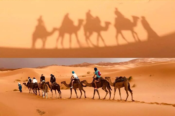 Camel trekking merzouga desert