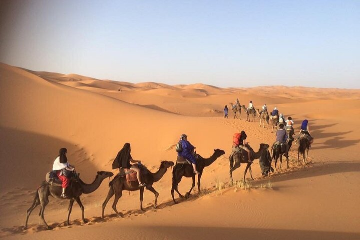 Camel ride