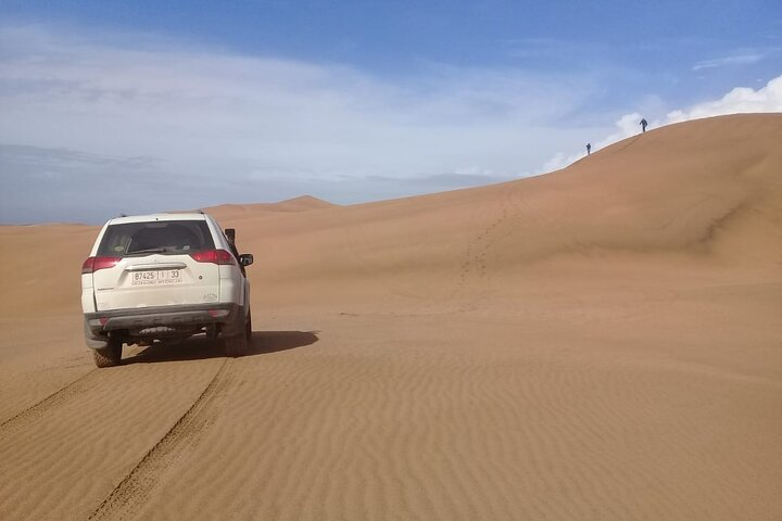 4×4 Wild Nature Private Half Day Trip - Photo 1 of 8