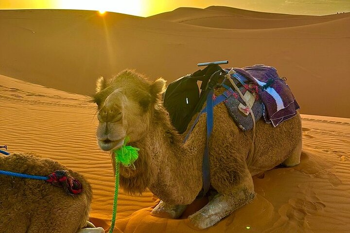 5 Day Desert Tour from Marrakech to Tangier Fes and Chefchaouen  - Photo 1 of 20