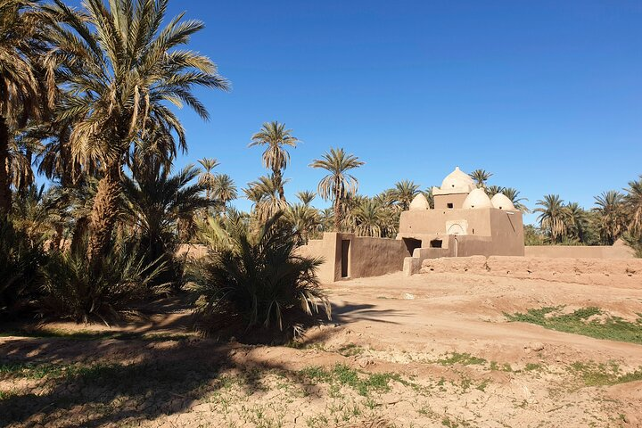 The palm grove and its hidden treasures