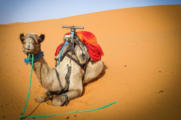 Group South Morocco Desert Tours: Merzouga Sahara Tour from Marrakech