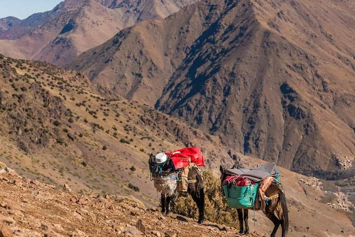 Ait Bougmez Valley Trek and Happy Valley Trek in Atlas