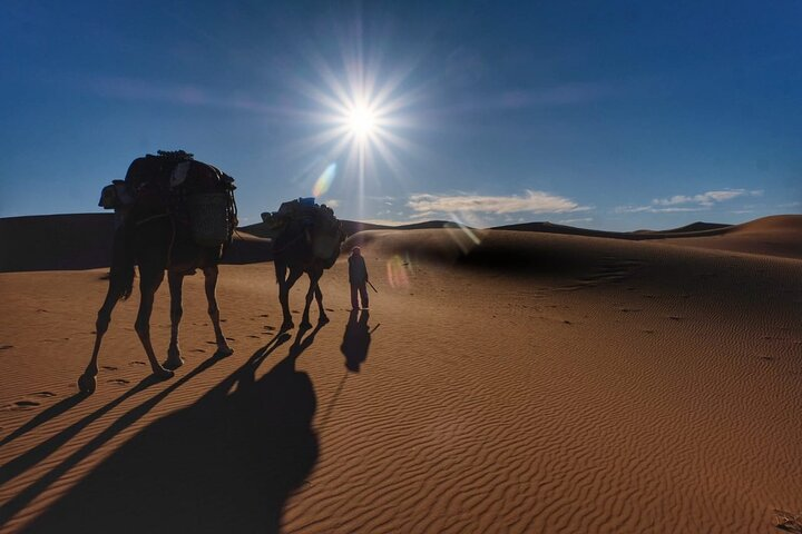 7 Days Sahara Desert Wonders Trek from Marrakech to M'Hamid - Photo 1 of 5
