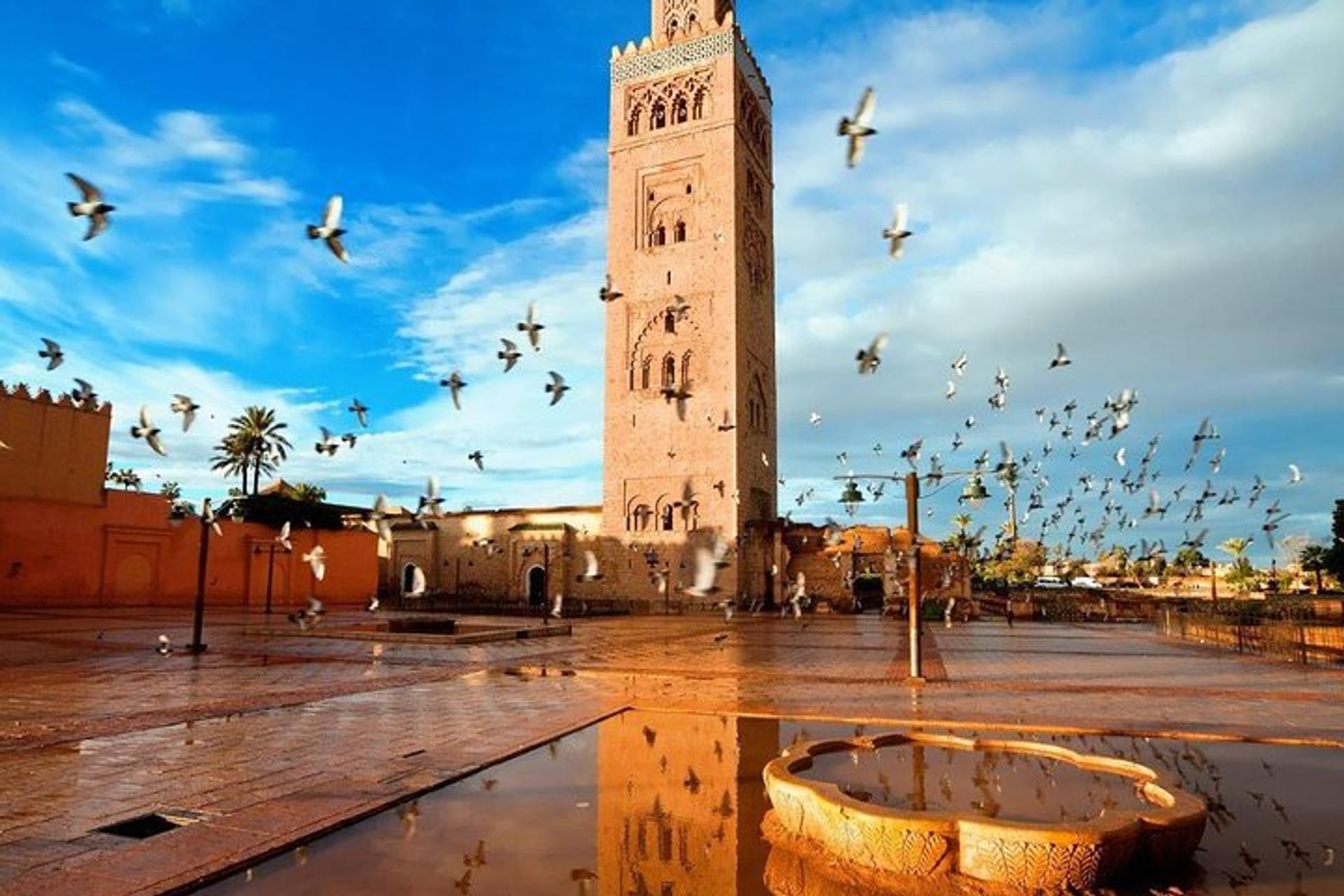 马拉喀什的9 Days Route of 1000 Kasbahs Self drive from Marrakech | Pelago
