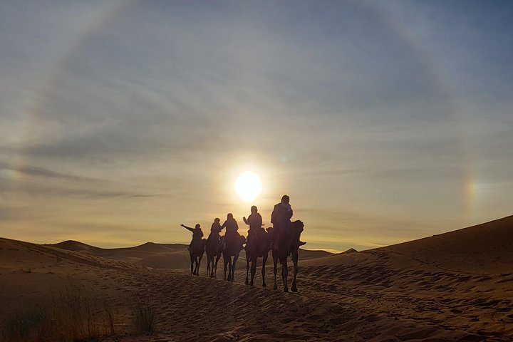 family tour: American family riding camels in the heart of the desert in Morocco