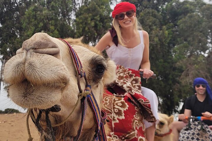 Agadir Camel Rides Local Market with Tea Drink & cakes - Photo 1 of 14