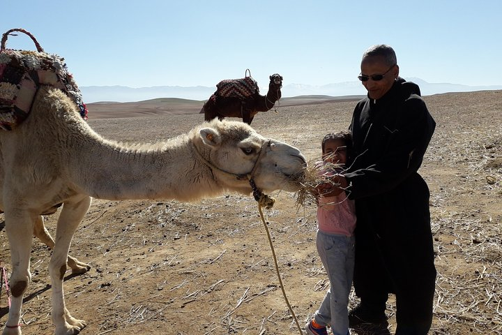 Agadir City Sightseeing Tour - Photo 1 of 5