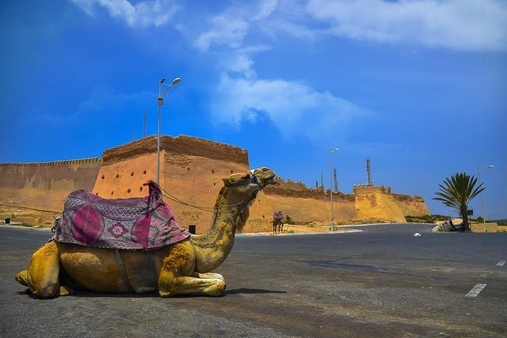 Agadir City Tour, Croco park, and Massage Hamam (Pack) - Photo 1 of 24
