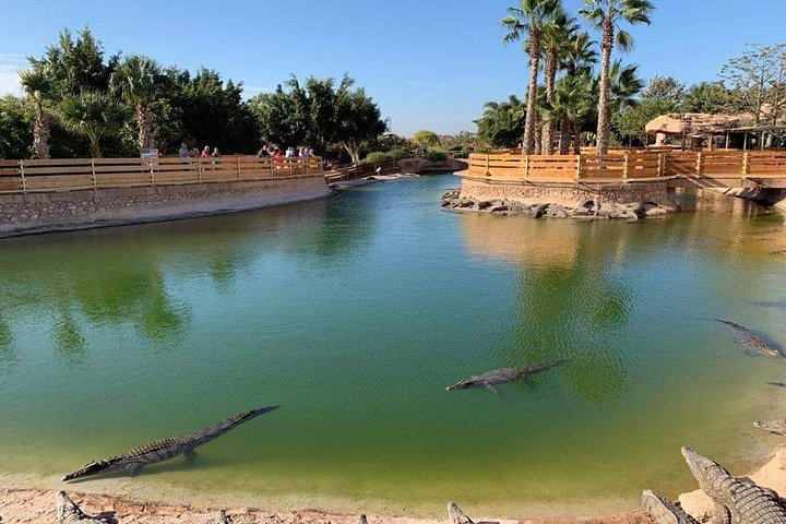 Visite Crocoparc from Agadir - Photo 1 of 13