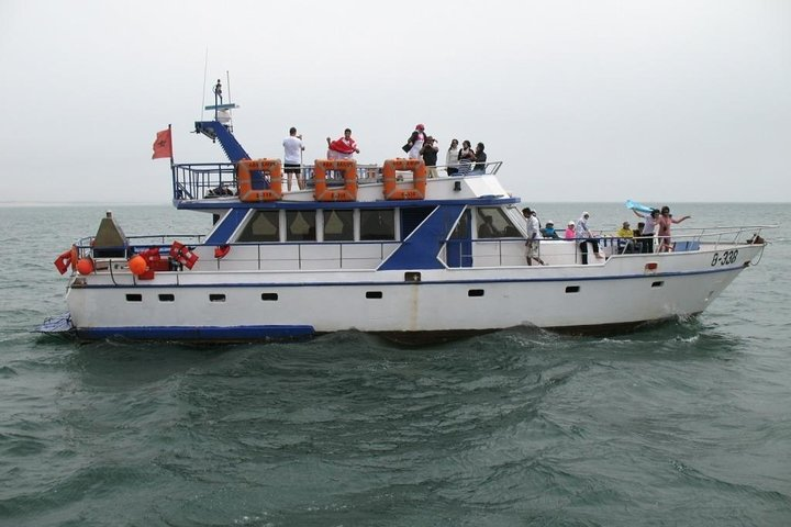Boat Tours in Agadir lunch including ( sea food ) - Photo 1 of 7